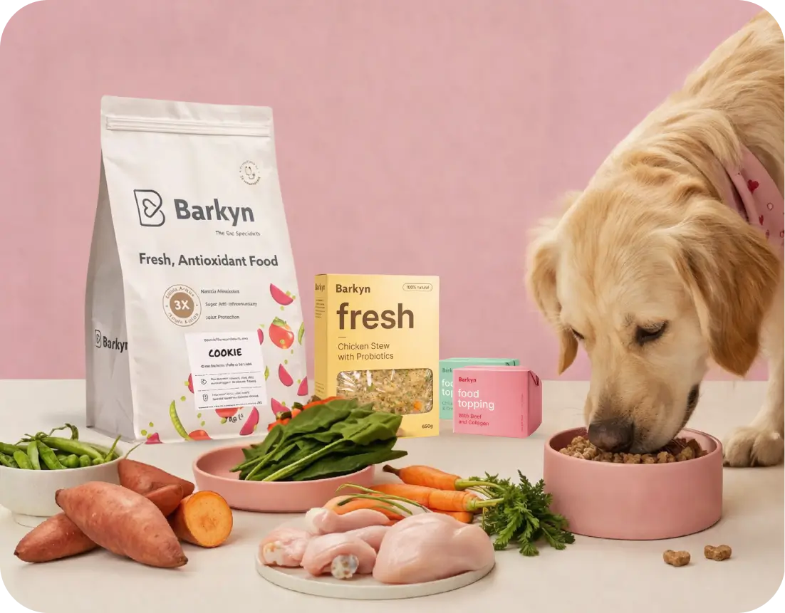 A golden retriever eats from a pink bowl surrounded by dog food products and fresh ingredients.