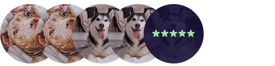 Four circular photos of two dogs, followed by a circle with a five-star rating inside.