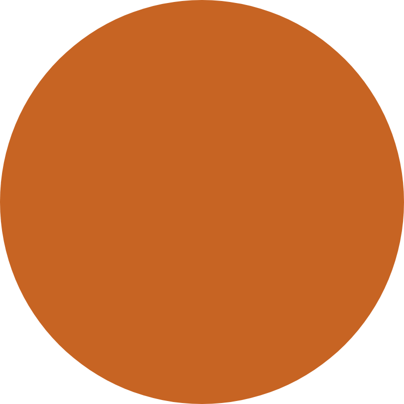 Solid orange circle on a transparent background.