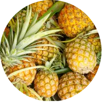A pile of ripe pineapples with green leaves in a circular frame.