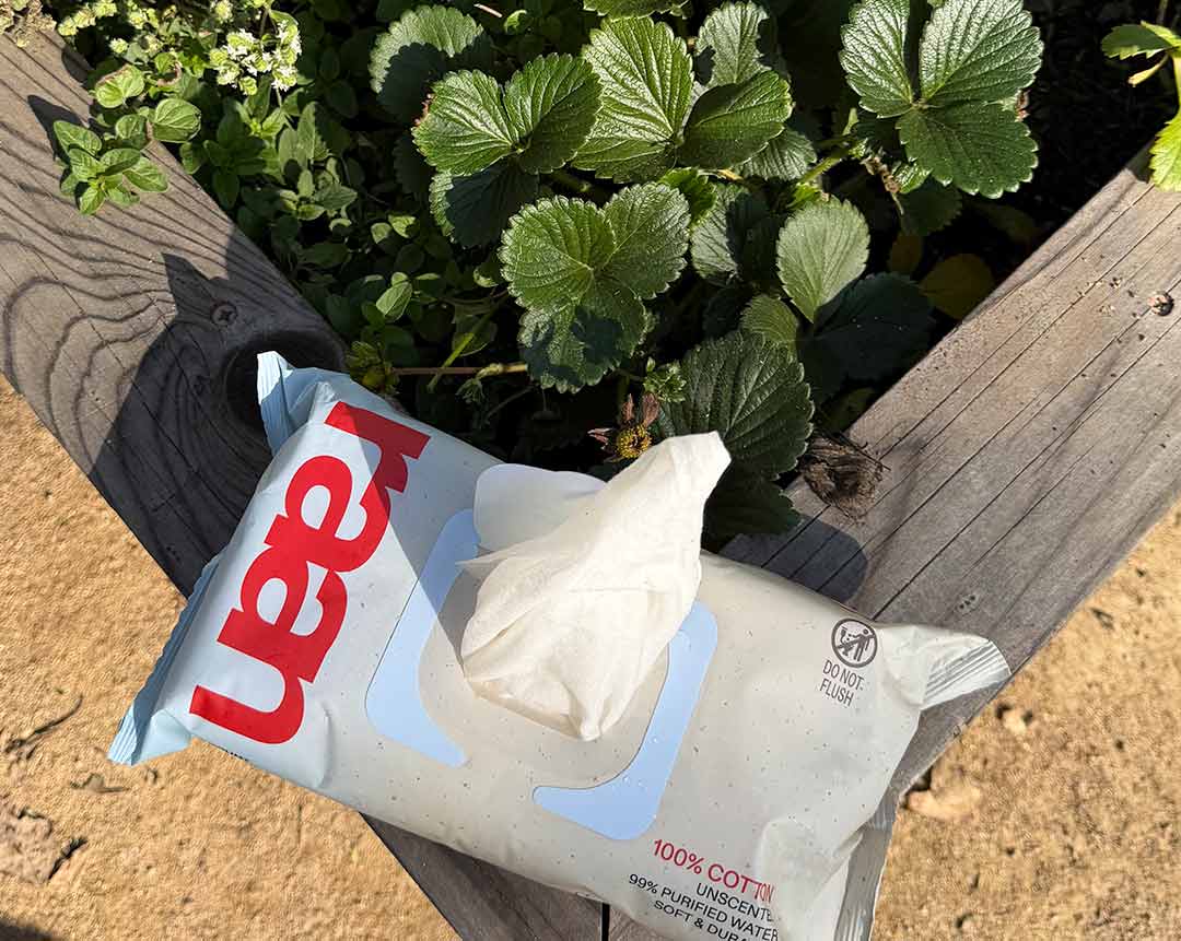 A package of wet wipes rests on the corner of a wooden planter box filled with green plants.