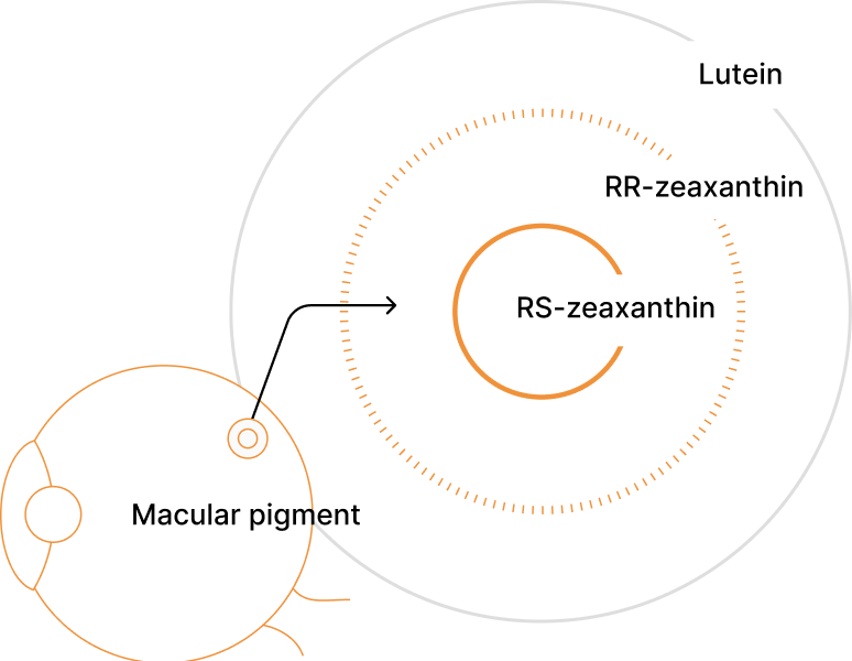 Diagram showing macular pigment with labels for Lutein, R-zeaxanthin, and zeaxanthin.