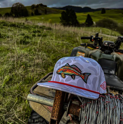 A cap with a fish design on an ATV in a grassy field.