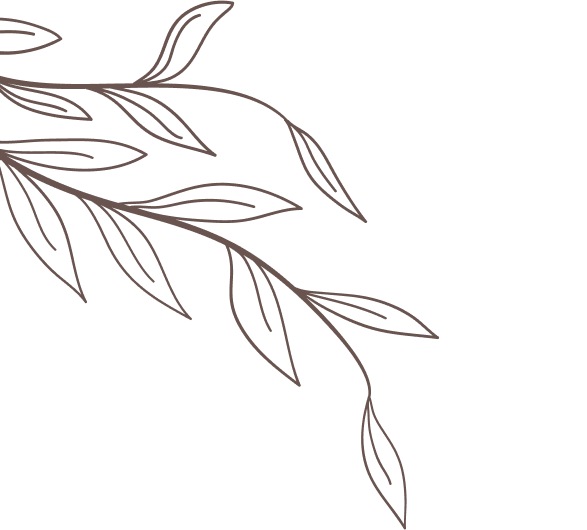 Line drawing of leaves on a branch in brown.