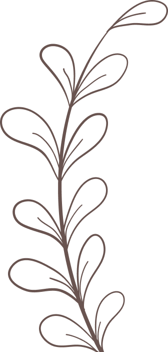 Brown, abstract floral line drawing on a transparent background.