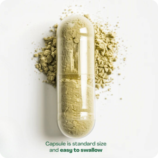 Clear capsule filled with beige powder on a white background.