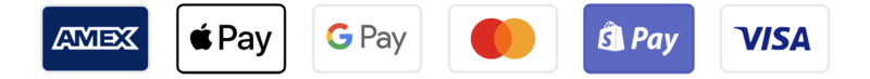 Logos of AMEX, Apple Pay, Google Pay, Mastercard, Shopify Pay, and Visa.