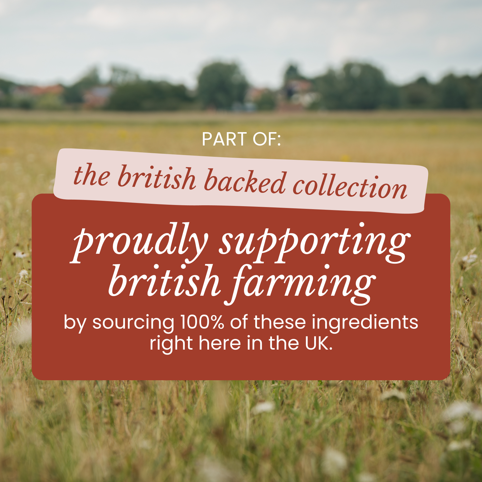 A graphic over a field of grass that reads 'proudly supporting British farming'.