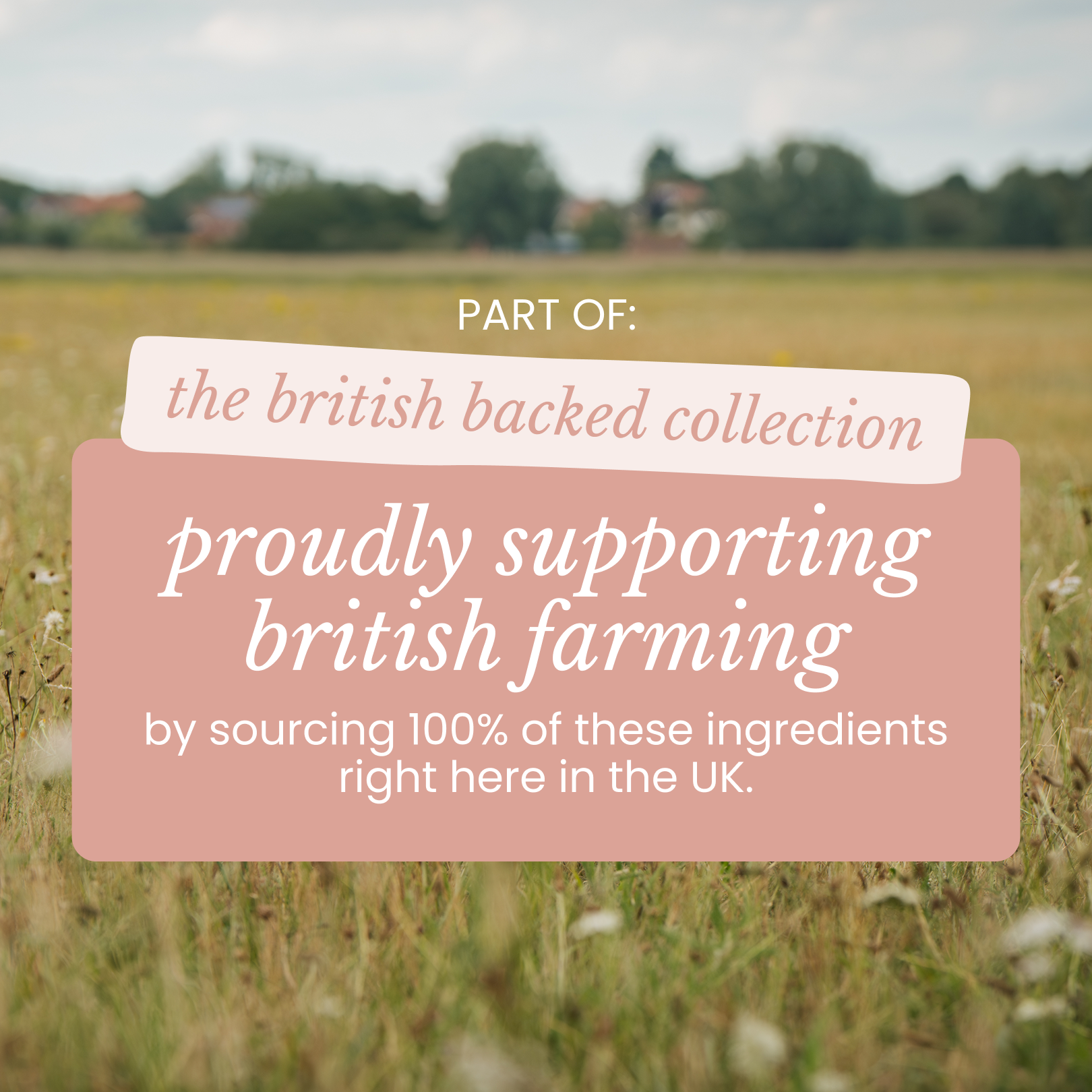Text over a field of grass promoting support for British farming by sourcing ingredients from the UK.