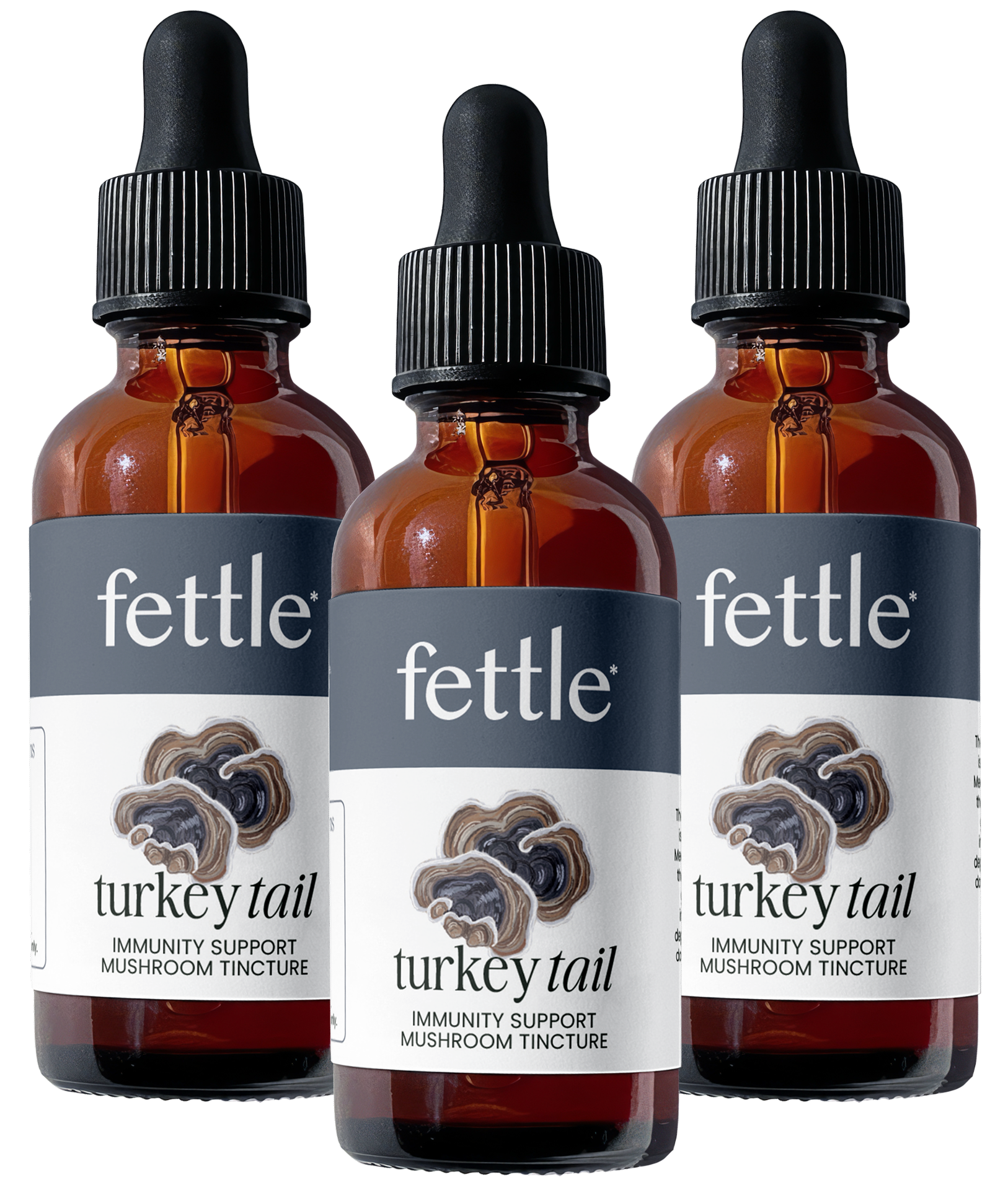 Three identical amber glass dropper bottles of Fettle Turkey Tail mushroom tincture against a white background.