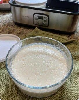 Glass bowl of yogurt next to a yogurt maker on a countertop.