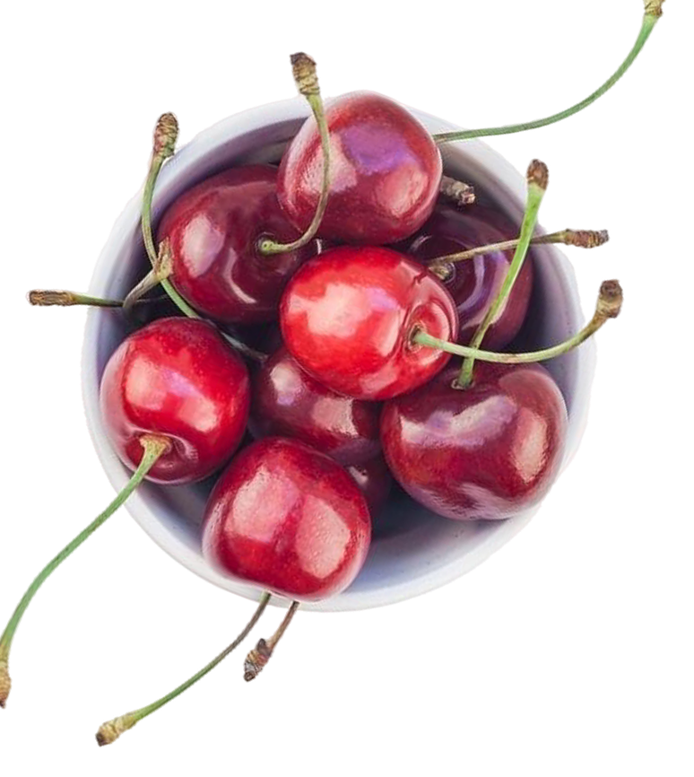 A bowl filled with fresh red cherries with stems.