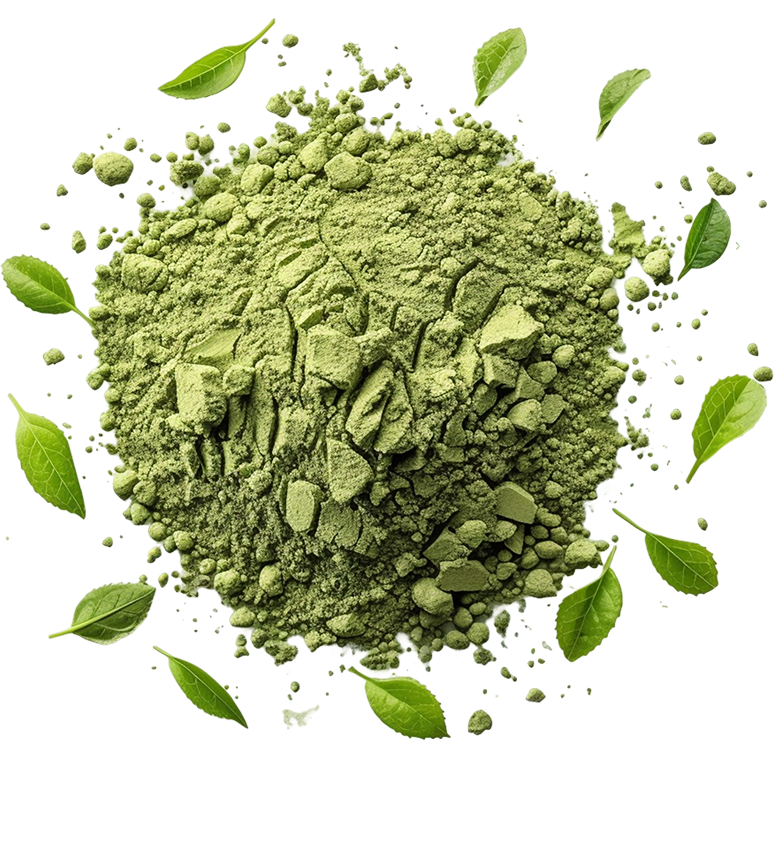 Pile of green powder surrounded by fresh green leaves on a white background.