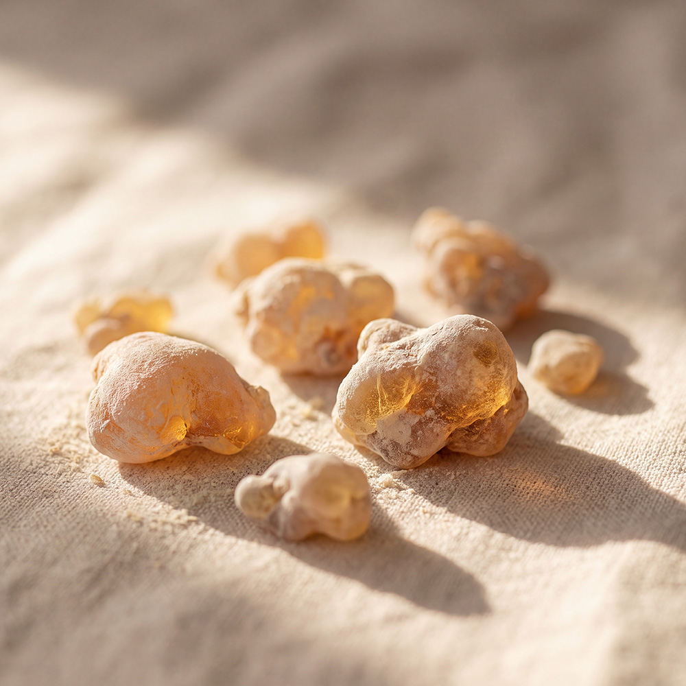 A close-up of several pieces of amber-colored resin, coated in a fine powder, on a light-colored fabric.