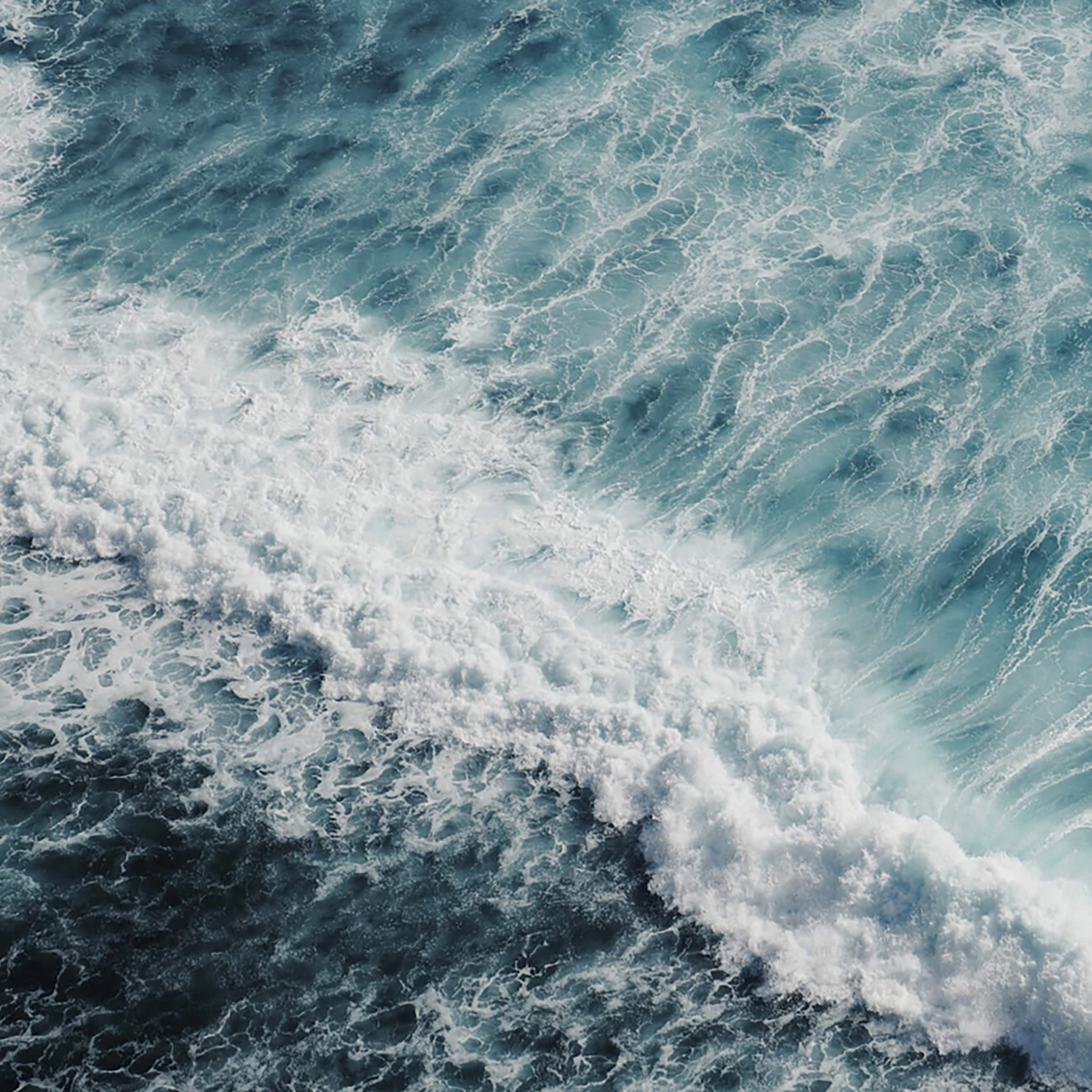 Nui No Microplastics in the Ocean