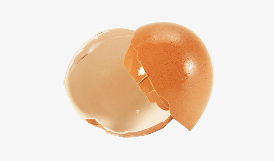 Two halves of a broken brown eggshell on a white background.
