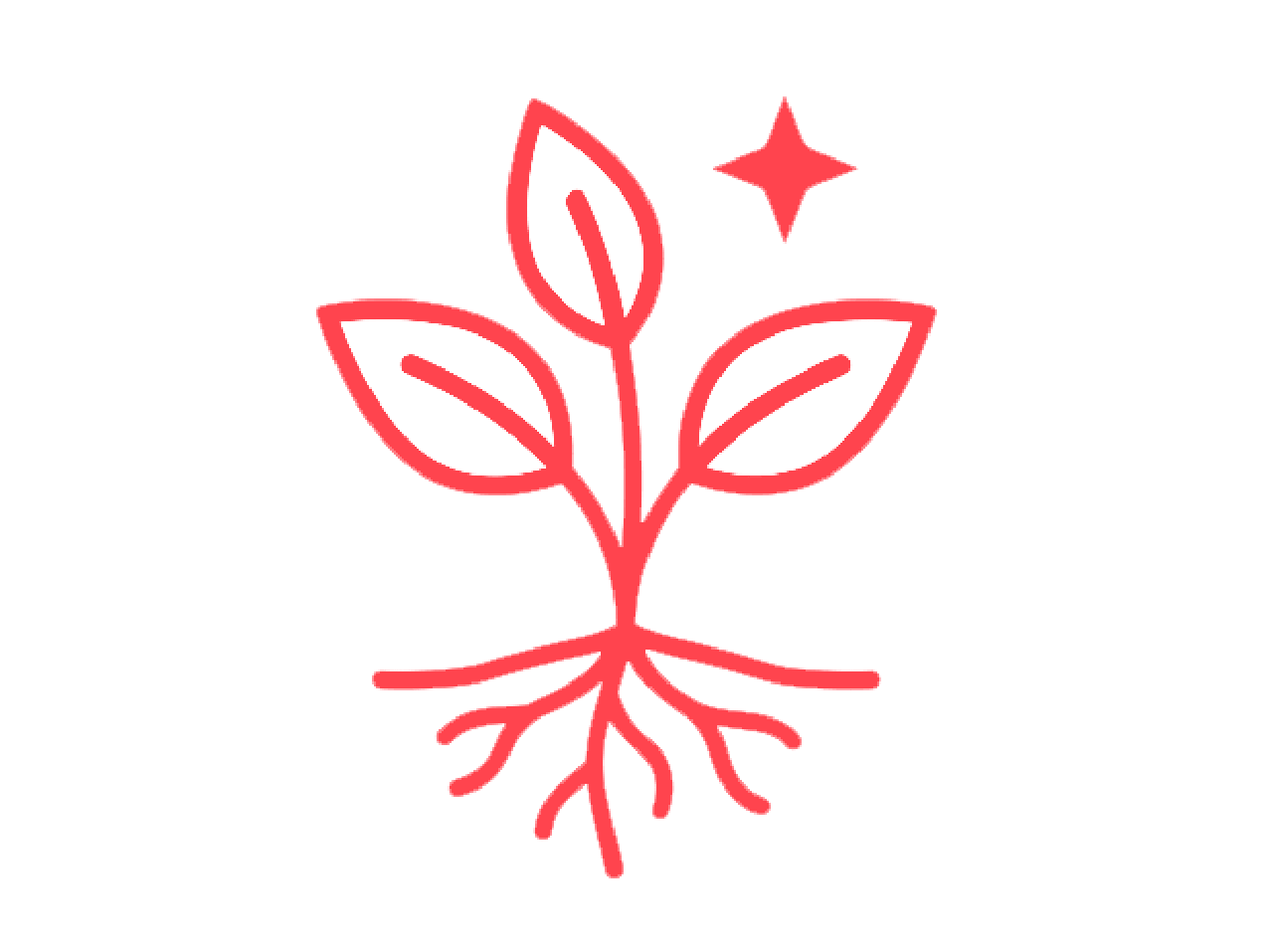 A red line drawing of a small plant with three leaves, roots, and a four-pointed star.