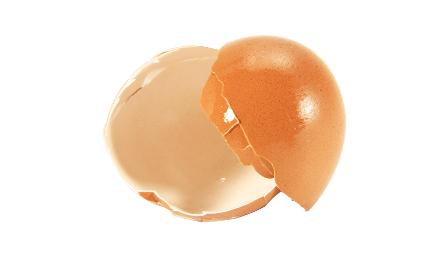 Two cracked brown egg shells against a white background.