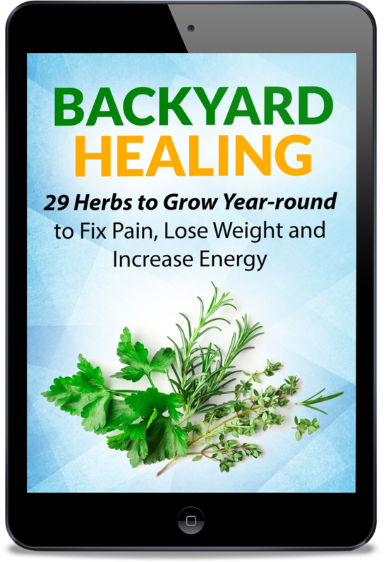 E-book cover titled 'Backyard Healing' with herbs illustration on a digital tablet.