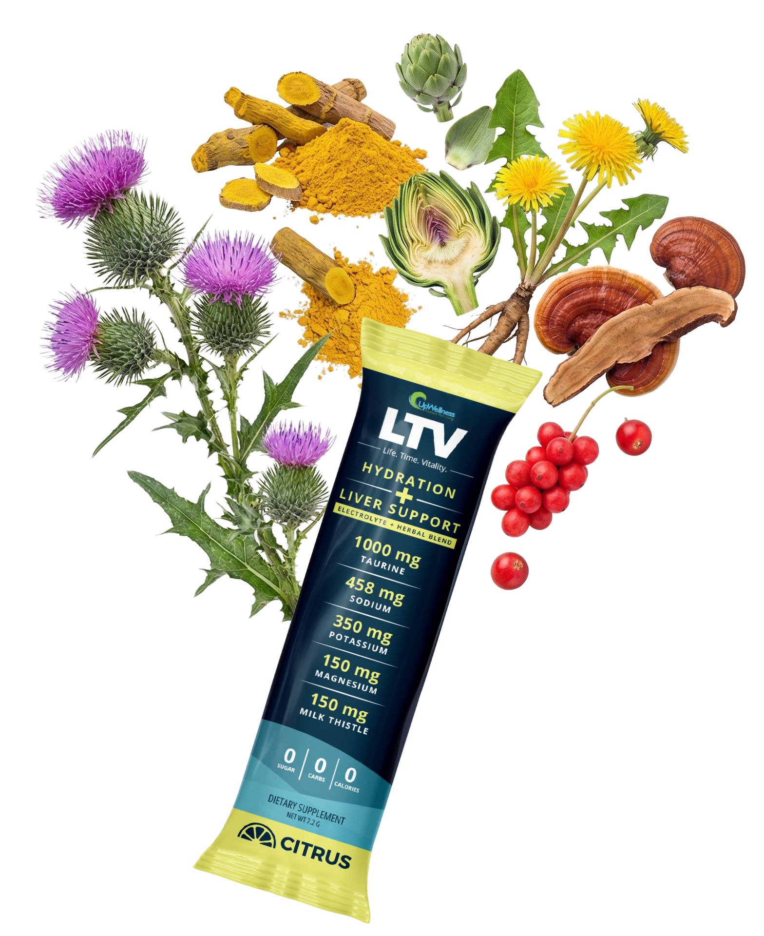 A packet of LTV Hydration + Liver Support surrounded by its natural ingredients like milk thistle and turmeric.