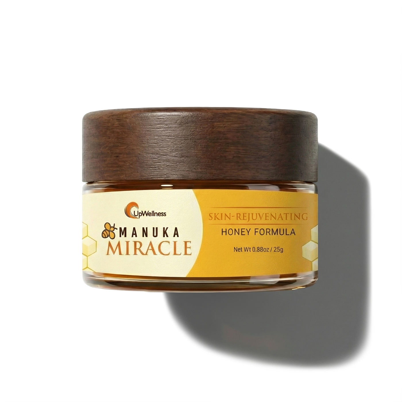 Logo of Health Web Magazine on a white background.