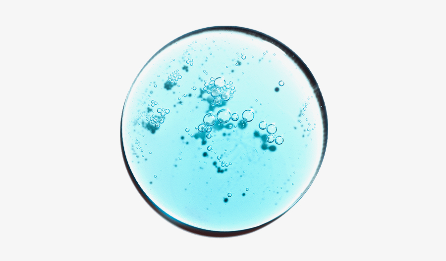 Blue liquid with bubbles in a circular petri dish on white background.