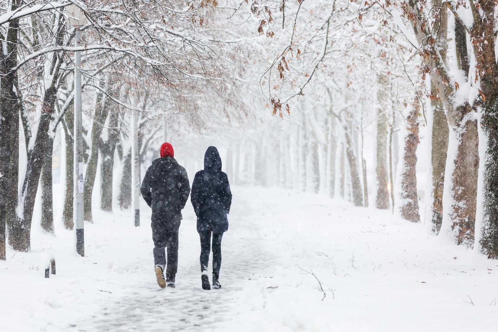 Two people walking in snowy park, trees covered in snow.
