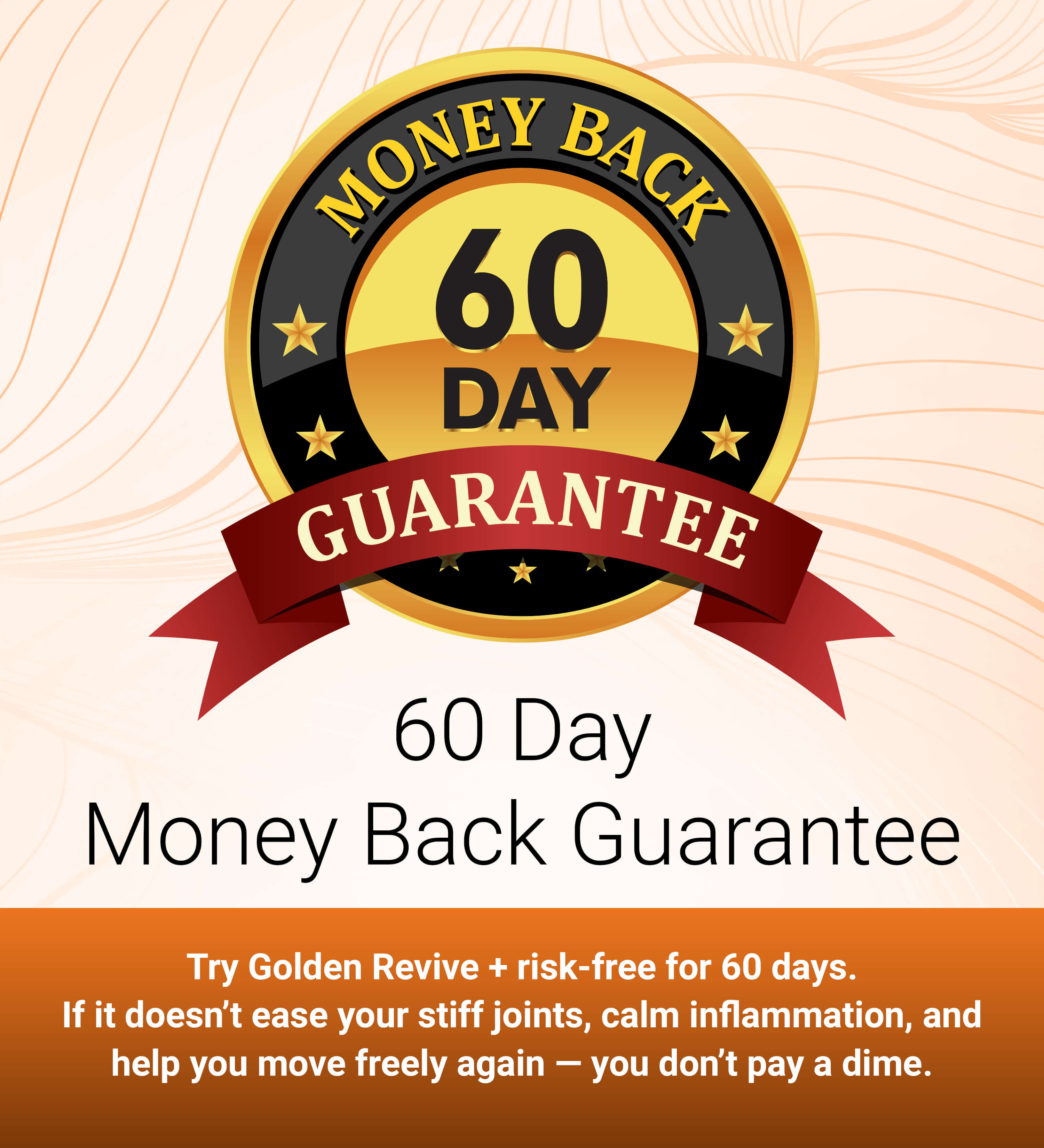 Circular emblem with '60 Day Money Back Guarantee' text and star decorations.