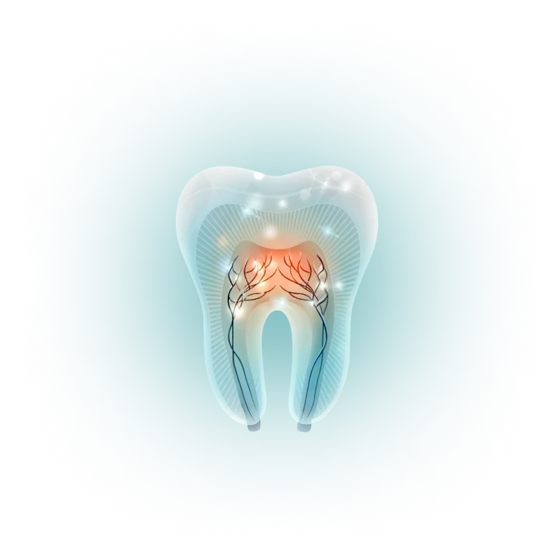 Illustration of a tooth with highlighted nerves on a teal background.