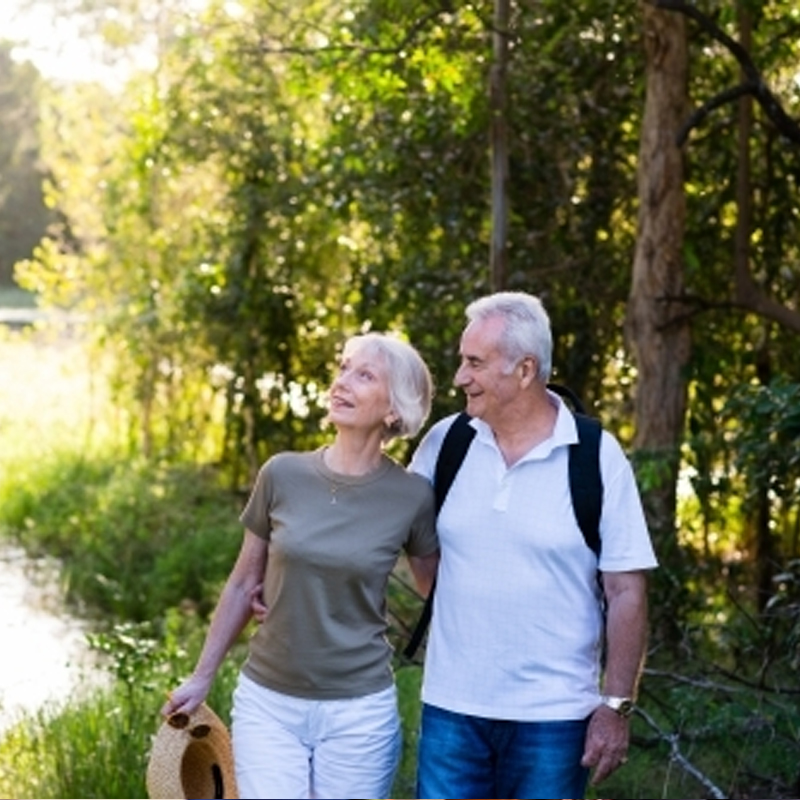 Elderly couple walking in a sunlit forest, smiling and holding hands.