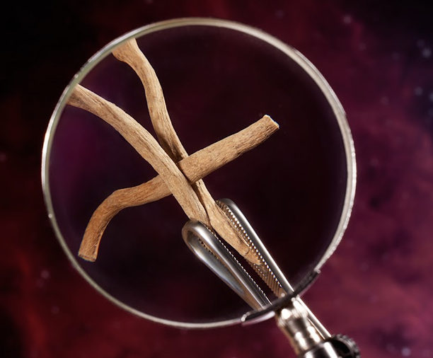 Magnifying glass focusing on intertwined wooden sticks against a purple background.