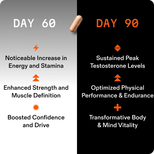 Two columns comparing benefits on Day 60 and Day 90 with text and symbols.