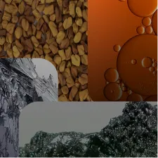 A collage of four images: seeds, oil bubbles, and two grayscale mountain landscapes.