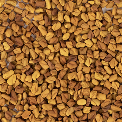 Close-up of scattered brown and yellow seeds.