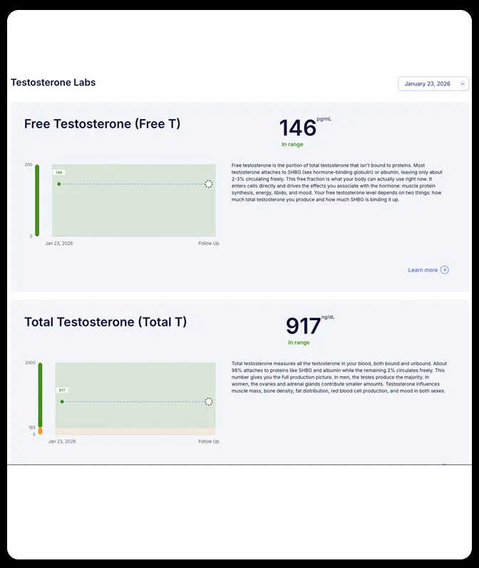 A screenshot of a lab report showing results for free and total testosterone levels, both in range.