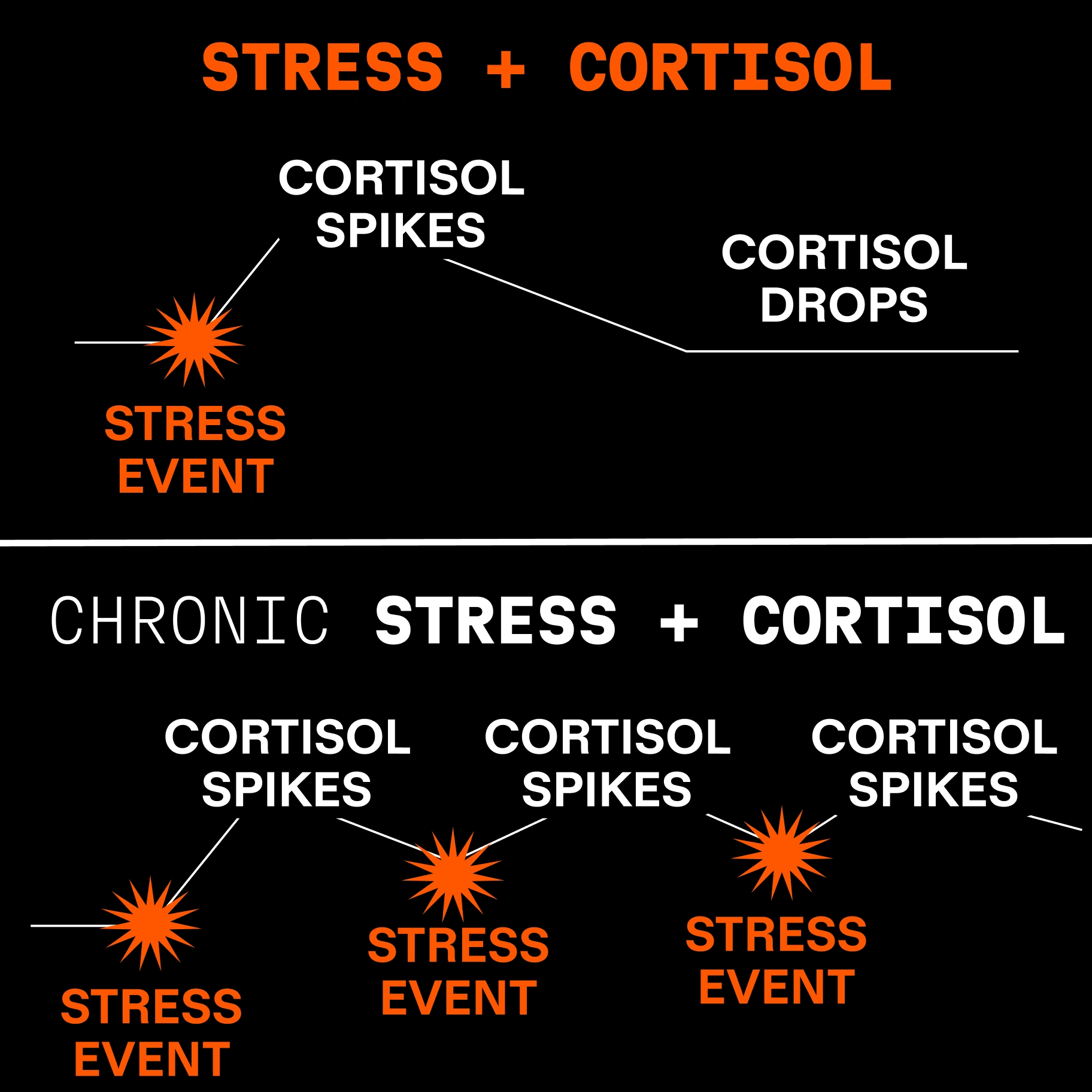 An infographic comparing cortisol spikes from a single stress event versus multiple spikes from chronic stress.