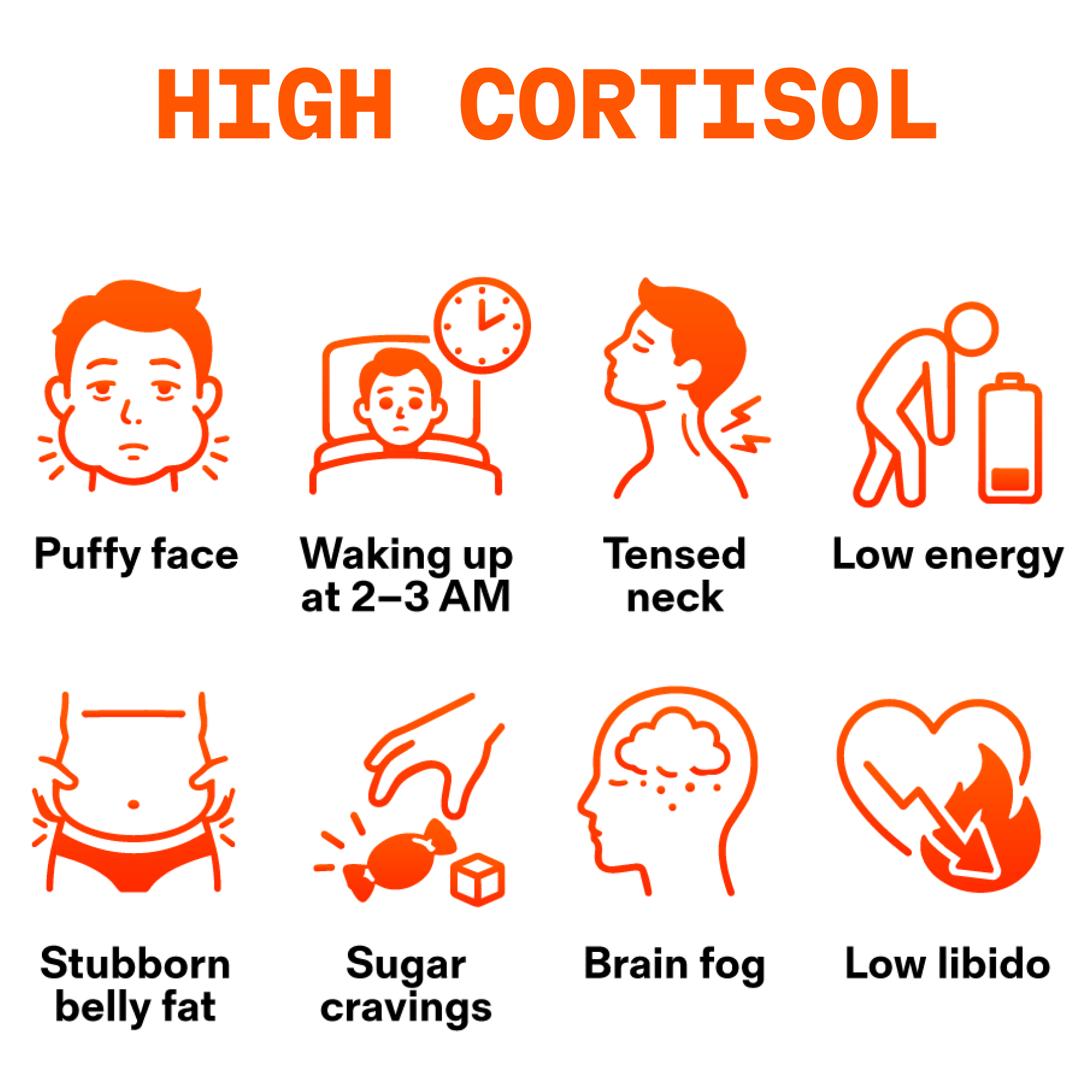 An infographic illustrating eight symptoms of high cortisol with corresponding icons and labels on a white background.
