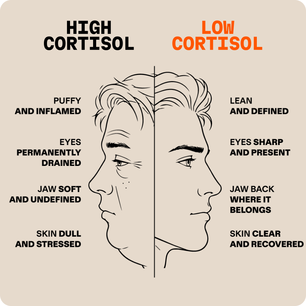 An infographic showing a split face comparing the effects of high cortisol versus low cortisol with text labels.