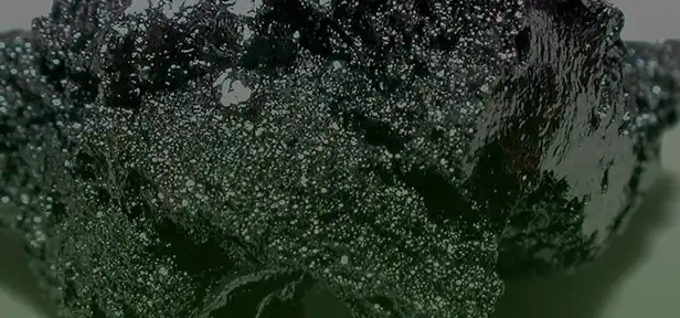 A close-up of a dark, lumpy, and shiny substance with a porous texture.