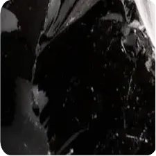 A black and white close-up of a shiny, dark, textured surface.