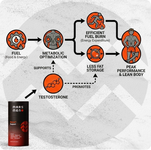 Flowchart depicting steps from fuel to peak performance with a supplement container.
