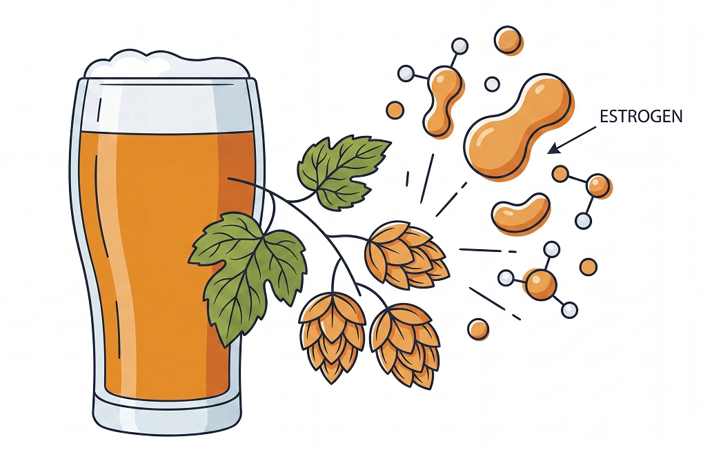 An illustration showing a glass of beer, hops, and estrogen molecules.
