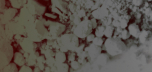 A blurry, low-resolution, close-up image of a white, crumbly substance with reddish undertones.