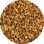 A circular, close-up photograph of small, light brown seeds, likely fenugreek.
