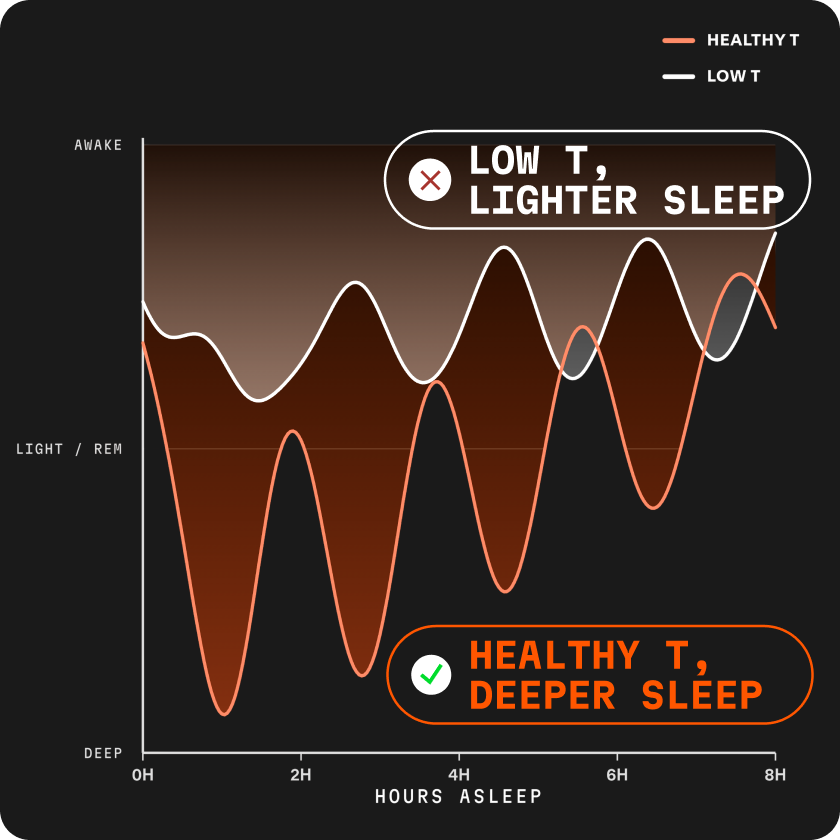 A graph showing that healthy T-levels result in deeper sleep compared to the lighter sleep of low T-levels.