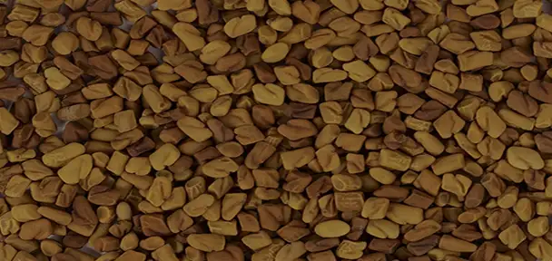 A close-up, overhead shot of many fenugreek seeds.
