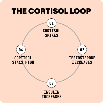 A diagram illustrating the four steps of The Cortisol Loop, involving hormones like testosterone and insulin.
