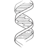 Illustration of a DNA double helix structure in black and white.
