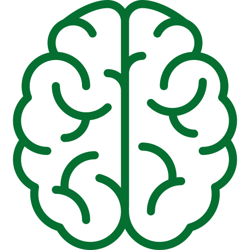 Green outline of a brain icon on a transparent background.