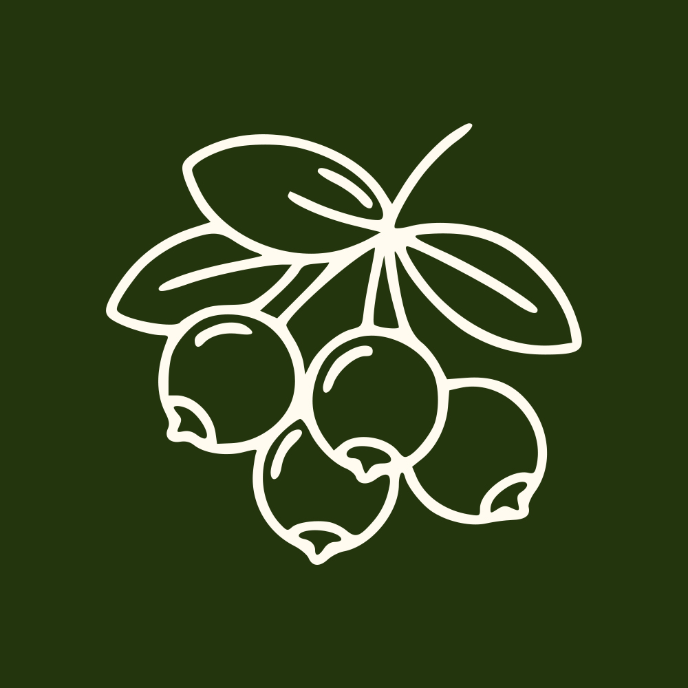 A simple white line drawing of a cluster of berries and leaves on a dark green background.